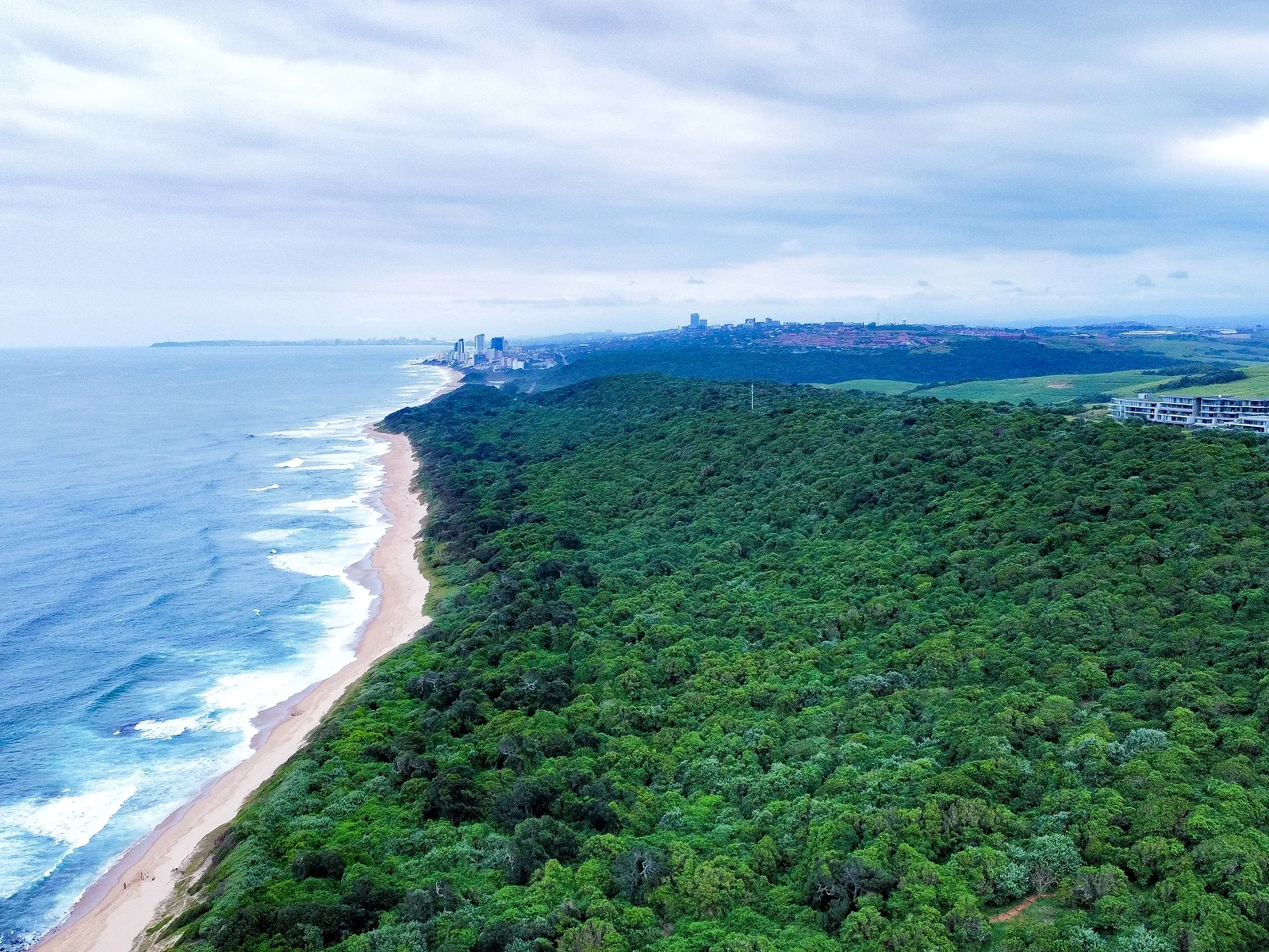 Coastal forest and shoreline along the Sibaya and Umdloti corridor