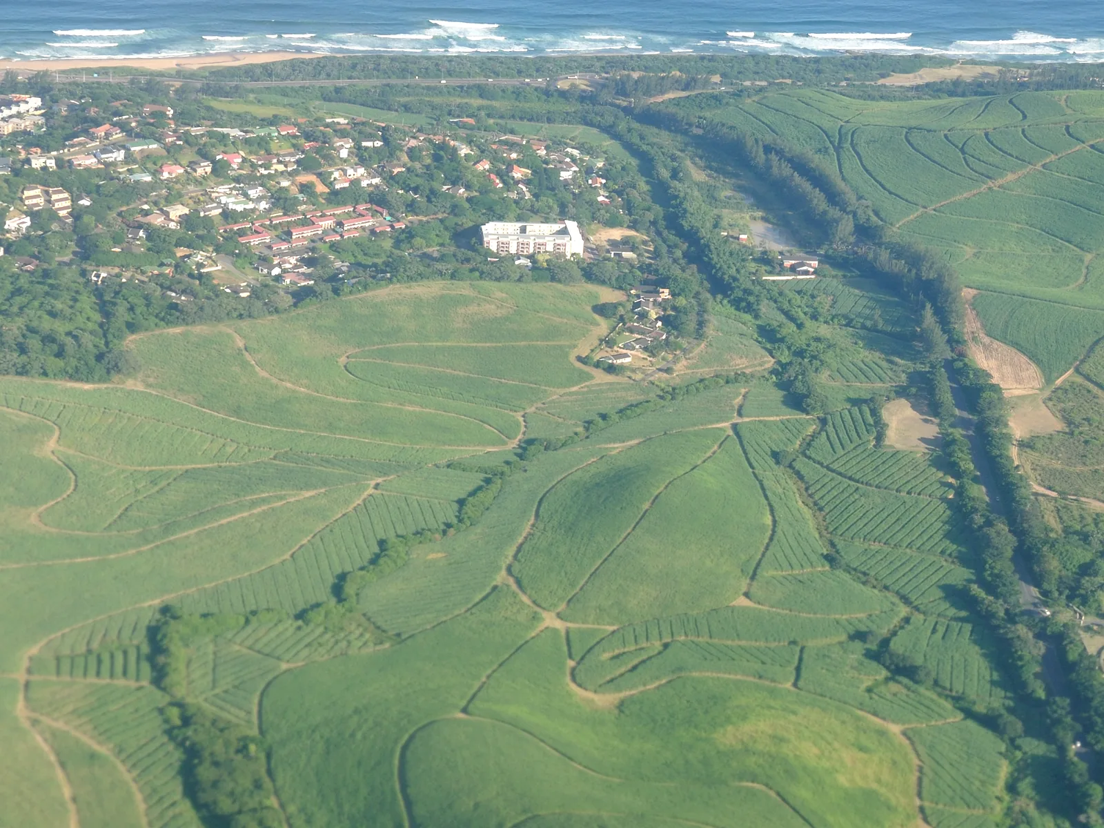 Aerial view over Westbrook sugar-cane fields, homes and coastline